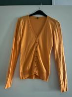 Oranje vestje S vesten cardigan damesvest Benetton, Verzenden, Zo goed als nieuw, Maat 36 (S), Oranje
