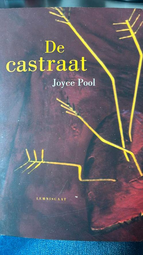 Joyce Pool - De castraat. Mooi boek., Boeken, Kinderboeken | Jeugd | 13 jaar en ouder, Zo goed als nieuw, Ophalen of Verzenden
