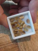 Goud gele geslepen tijgeroog, Ophalen of Verzenden, Zo goed als nieuw