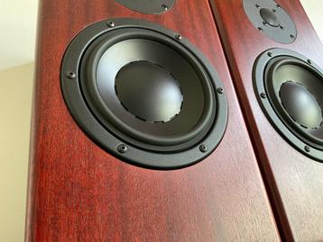 Totem Mani-2 (Manitou) Signature in rosewood set i.z.g.s. beschikbaar voor biedingen