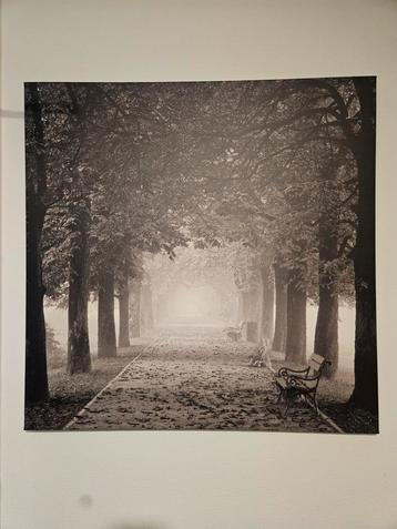 Zwart/wit foto op canvas - 90x90cm beschikbaar voor biedingen
