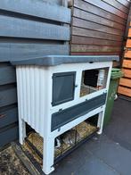 Konijntjes + hok, Minder dan 60 cm, 110 cm of meer, Ophalen of Verzenden, Zo goed als nieuw