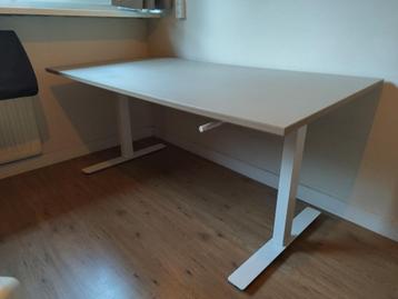 Bureau IKEA grijs blad met witte poten (verstelbare hoogte) beschikbaar voor biedingen