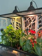 Terranium EXO TERRA met WIMPERGEKKO en onderkast, Dieren en Toebehoren, Ophalen, Zo goed als nieuw, Terrarium of Paludarium