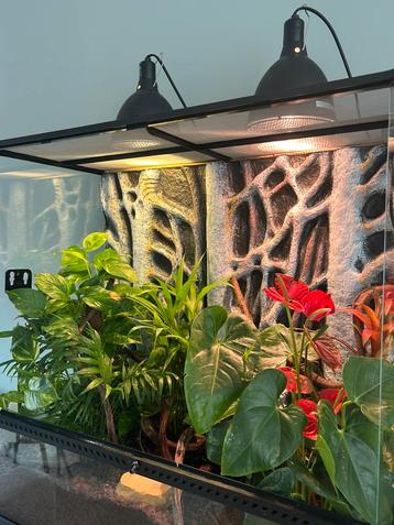 Terranium EXO TERRA met WIMPERGEKKO en onderkast beschikbaar voor biedingen