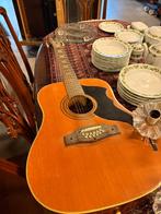 gitaar, Ophalen of Verzenden, Gebruikt, Overige typen, 12-snarig