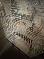 Parkieten kooi ferplast, Dieren en Toebehoren, Ophalen, Zo goed als nieuw, Metaal, Vogelkooi