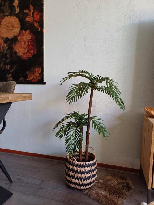 Prachtige kunst palmboom nieuw, Huis en Inrichting, Woonaccessoires | Kunstplanten en Kunstbloemen, Nieuw, Binnen, Buiten, Ophalen of Verzenden