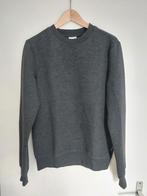 Nieuw: grijze sweater Madness maat S, Kleding | Heren, Ophalen of Verzenden, Nieuw, Grijs