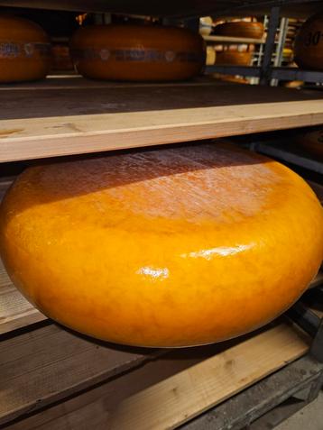 30 + kaas van de boerderij  koopje! beschikbaar voor biedingen