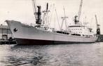 Vrachtschip Lechistan II - Polish Ocean Lines - foto 18,5 x, Ophalen of Verzenden, Zo goed als nieuw, Kaart, Foto of Prent