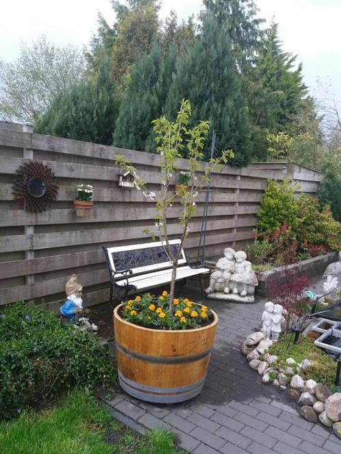 Regentonnen regenton vat vaten wijnton tonnen ton, Tuin en Terras, Regentonnen, Zo goed als nieuw, Hout, 150 liter of meer, Met kraantje