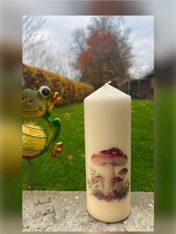 Stompkaars met paddestoel ( cadeau) beschikbaar voor biedingen