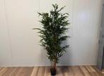 Kunstplant Bamboe nieuw!, Huis en Inrichting, Kamerplanten, Ophalen, Volledige schaduw, Overige soorten, In pot