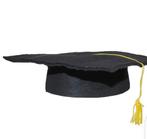 24 professorhoedjes,  graduate caps, Hobby en Vrije tijd, Feestartikelen, Ophalen of Verzenden, Zo goed als nieuw, Hoed of Pruik
