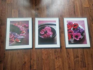 3 Schilderijen Roze & Paarse Bloemen beschikbaar voor biedingen