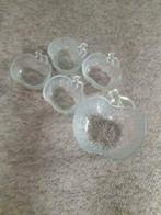 4 kleine en 1 grote schaal appelvorm, Ophalen of Verzenden, Rond, Glas