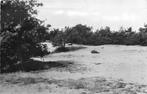 (300-022-011) Sint Anthonis De Ullingse Bergen, Verzamelen, Verzenden, Noord-Brabant