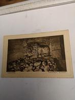 VALKENBURG. GEMEENTEGROT. DE LEEUW, Ophalen of Verzenden, Voor 1920, Limburg