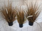 3 Decoratieve pluimen in pot, Ophalen, Gebruikt