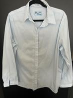 Nieuwe lichtblauw/wit gestreepte blouse Cecil xl, Blauw, Maat 46/48 (XL) of groter, Nieuw, Ophalen of Verzenden
