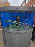 Juwel 190 aquarium, Dieren en Toebehoren, Vissen | Aquaria en Toebehoren, Ophalen