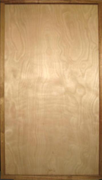 Dichte deur incl. kozijn beschikbaar voor biedingen