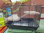Hamsterkooi, Dieren en Toebehoren, Knaagdieren en Konijnen | Hokken en Kooien, Kooi, Gebruikt, Minder dan 75 cm, Hamster