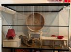 Hamster terrarium, Zo goed als nieuw, 75 tot 110 cm, Ophalen, Minder dan 60 cm