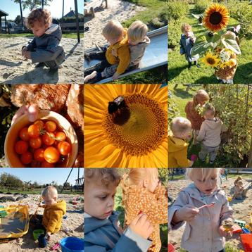 Opzoek naar gastouder, opvang of kleinschalige kinderopvang? beschikbaar voor biedingen