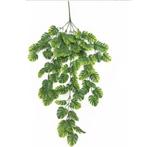 GATENPLANT - HANGTAK - HANGING GARDEN - KUNST