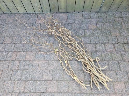 Decoratietakken - Takken kronkelhazelaar / krulhazelaar, Huis en Inrichting, Woonaccessoires | Overige, Nieuw, Ophalen of Verzenden