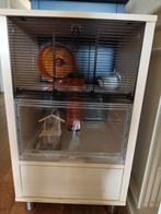 Hamsterkooi Omlet, Dieren en Toebehoren, Kooi, Minder dan 75 cm, Zo goed als nieuw, Ophalen