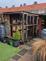 Duiventil, Ophalen, Hout, Broedkooi of Kweekkooi