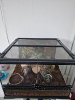 Exo terra terrarium 45x45x30, Dieren en Toebehoren, Ophalen, Gebruikt, Terrarium of Paludarium