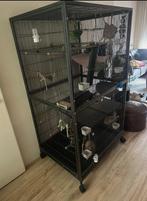 Mooie nette Vogel en/of ratten/ knaagdieren kooi, Dieren en Toebehoren, Ophalen, Zo goed als nieuw, Kooi