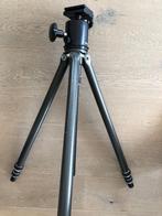 Gitzo statief met Arca Swiss monoball, Audio, Tv en Foto, Fotografie | Statieven en Balhoofden, Ophalen, Gebruikt, Driepoot, 175 cm of meer