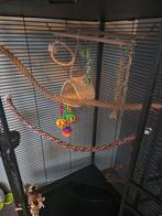 Keddoc hoekkooi, Dieren en Toebehoren