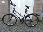 Paarse Giant Hollywood, Ophalen, 28 inch, Gebruikt, Giant