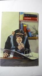 Oude dieren kaarten-ongelopen, Verzamelen, Ansichtkaarten | Dieren, Verzenden, Ongelopen, Overige soorten