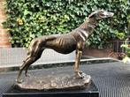 bronzen hond greyhound windhond, Ophalen of Verzenden