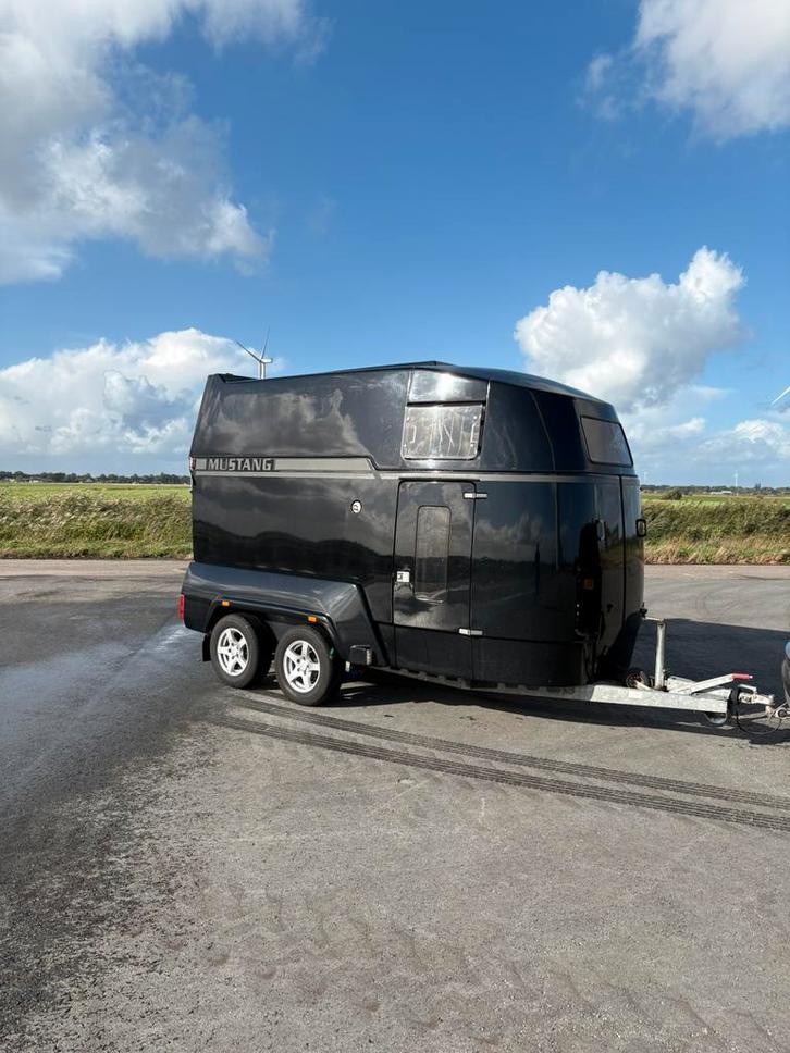 Zwarte Mustang paardentrailer, Dieren en Toebehoren, Paarden en Pony's | Overige Paardenspullen, Gebruikt, Overige soorten, Ophalen