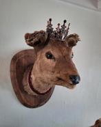 Taxidermie Opgezette Hertenkop/Reeënhoofd, Ophalen of Verzenden