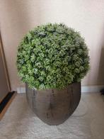 Pot met kunst buxus bol, Huis en Inrichting, Ophalen, Zo goed als nieuw, Binnen