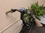 Pegasus Siena E7F Dames Zwart 48cm 2020, Fietsen en Brommers, Elektrische fietsen, 47 tot 51 cm, Gebruikt, Overige merken