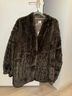 Dames jas NIEUW, Ophalen of Verzenden, Nieuw, Maat 38/40 (M), Bruin