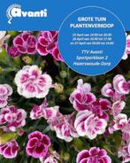 Grote Jaarlijkse Plantenverkoop ttv Avanti Hazerswoude-Dorp, Tuin en Terras, Planten | Tuinplanten, Ophalen of Verzenden, Overige soorten