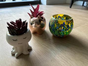 Candles pot  beschikbaar voor biedingen