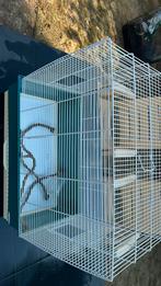 Ferplast vogel kooi, Ophalen of Verzenden, Zo goed als nieuw, Vogelkooi