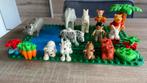 Duplo Dieren plezier  groot en kiein op bouwplaat, Kinderen en Baby's, Speelgoed | Duplo en Lego, Ophalen of Verzenden, Zo goed als nieuw